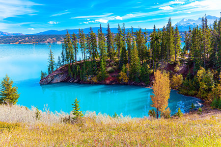 Picturesque Abraham Lake with blue water. Gorgeous Canadian autumn. Sunny day in October. Journey Magical Rocky Mountainsの写真素材