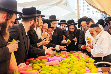 JERUSALEM, ISRAEL - SEPTEMBER 20, 2018:  Pre-holiday bazaar for the sale of ritual plants. Etrogs. Religious Jews check the quality of the purchase. Sukkot is a Jewish holiday.のeditorial素材