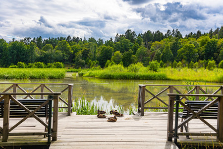 Cloudy summer day in Stockholm. Sweden. Wonderful excursion to the northern capital. 
Lovely picturesque quiet parkの写真素材