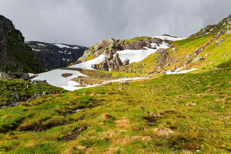 Strange bizarre rocks pile up on the side of the road. Large snowfields remained on the mountains. Herd of sheep is grazing near the road. Summer in Norway. Road 520.の写真素材