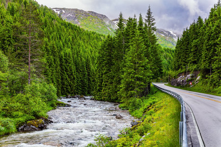 The picturesque highway passes through green forest. Summer trip to the north of Europe. Cold and rainy day. Western Norway. Road to Roldalの写真素材