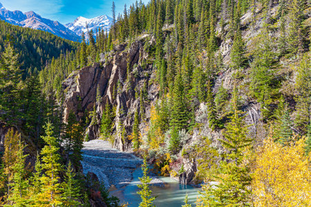Rocky Mountains of Canada. Evergreen firs on the steep banks of the stream. Shallow mountain stream with glacial melted water. Autumn day. Neighborhood of Abraham Lake.の写真素材