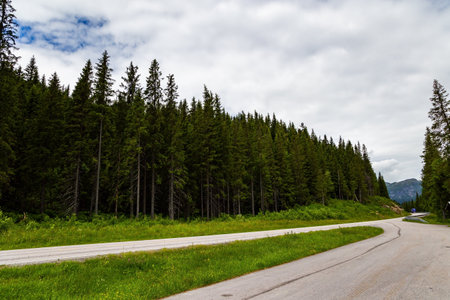Mountain slopes overgrown with green forests. Summer trip to the north of Europe. Gorgeous wide asphalt road in Norway.の写真素材