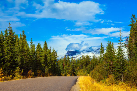 The Rocky Mountains of Canada. Indian summer in Jasper Park. Magnificent highway among coniferous forests. Lush cumulus clouds in the blue sky. Travel and photo tourism conceptの写真素材
