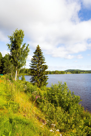 The shore of the lake is overgrown with grass and wildflowers. Magical summer morning. Light white clouds in the blue sky illuminated by the sunrise. Warm July in Norway.の写真素材