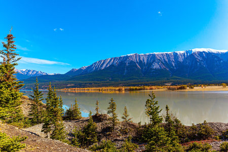 Rocky Mountains of Canada. Gorgeous turquoise color of glacial Abraham Lake. The mountain peaks are covered with glaciers and snow. It's evening soon.の写真素材