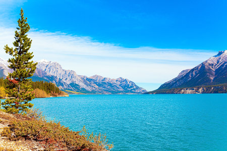 Picturesque Abraham Lake with blue water. Journey to the Magical Rocky Mountains. Gorgeous Canadian autumn.の写真素材
