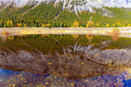 The autumn trees and the Rocky Mountains are reflected in the smooth water of picturesque Abraham Lake. Sunny day in October. Canadia.の写真素材