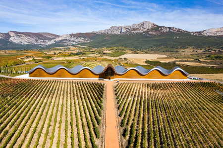 Fantastic beauty. Bodegas Ysios winery and rows of vineyards. Laguardia, Spain. The magnificent architecture of Bodegas Ysios blends in beautifully with the surrounding landscapeの写真素材