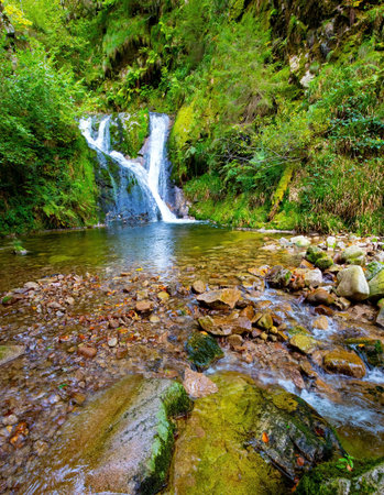 Highest  cascading waterfall - Allerheiligen. Germany. Famous forest in the center of Europe - Schwarzwald. Travel to the fabulous country of the Black Forest. Autumn cloudy day.の写真素材