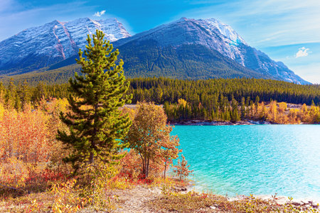 Dense evergreen forests surround the lake. Mountain peaks covered with snow and glaciers. This artificial Abraham lake. Rocky Mountains of Canada.の写真素材
