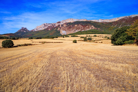 Basque country, province of Guipuzcoa, Spain. Lush colors of autumn. Gorgeous scenic way from San Sebastian to Tolosa. Rural fields after harvest.の写真素材