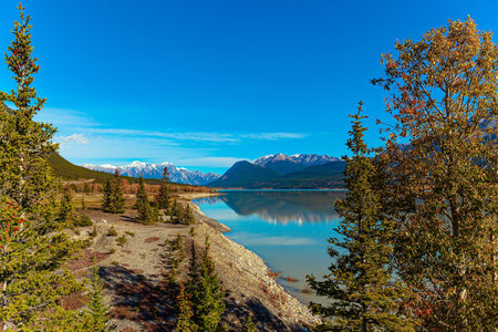 Rocky Mountains of Canada.  Dense evergreen forests surround the lake. Mountain peaks covered with snow and glaciers. This artificial Abraham lake.の写真素材