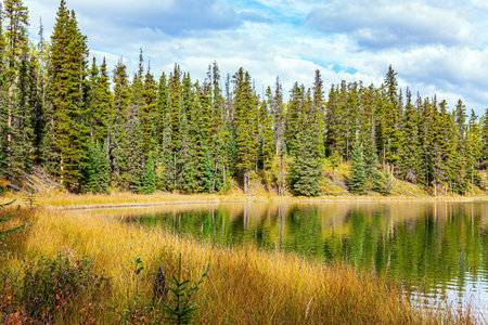 The smooth lake surface reflects the cloudy sky and slender fir trees. The shallow lake is surrounded by an evergreen forest. Autumn trip to the west of Canada.の写真素材