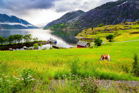 The smooth water of the Acre Fjord. Rainy cold July in Norway. Majestic natural phenomenon.の写真素材