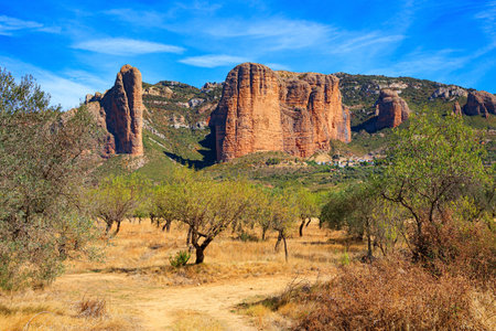 The Mallets of Riglos is a conglomerate of rock formations. Young olive grove. Beautiful rocks - part of the foothills of the Pyrenees. Spain. Aragon. Sunny afternoon.の写真素材