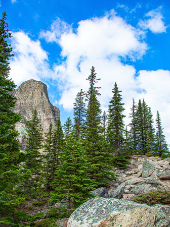 Environs of the mountain lake Moraine.  Travel to northern Canada. Picturesque Canadian Rockies. Banff Park.の写真素材