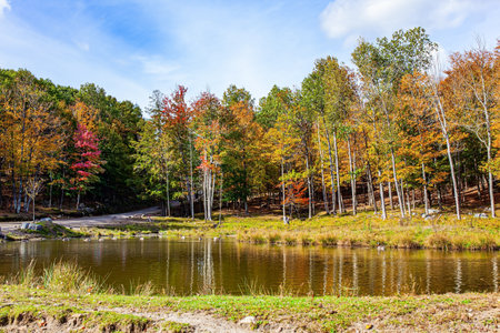 Small lake at the edge of the forest. Great wildlife Omega Park. Lush multicolor northern autumn. Neighborhoods of Montreal and Ottawa, province of Quebec.の写真素材