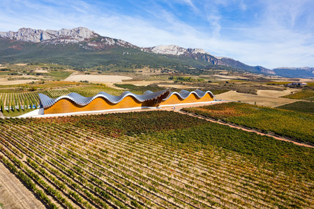 Bodegas Ysios winery and rows of vineyards. Laguardia, Spain. The architecture of Bodegas Ysios blends in beautifully with the surrounding landscape. Incredibly beautiful landscape.の写真素材
