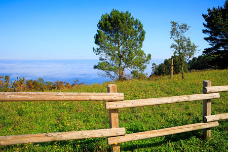 Rural life in the Basque country. Picturesque and well-groomed green grassy glades near the sea. The Bay of Biscayの写真素材