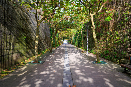 Beautiful alley goes to the ocean. The Basque Country - Itsurun. Playa Zumaya. Incredibly bizarre coastal cliffs. Early sunny morning.の写真素材