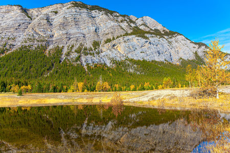 Canadia. The autumn trees and the Rocky Mountains are reflected in the smooth water of picturesque Abraham Lake. Sunny day in October.の写真素材