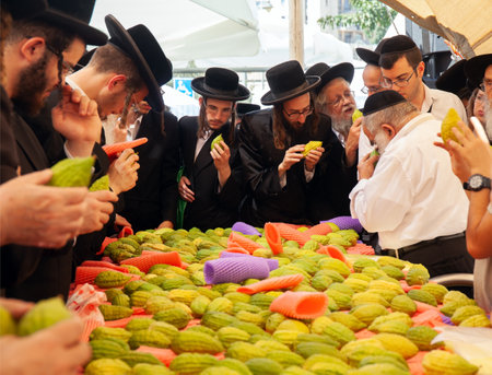 JERUSALEM, ISRAEL - SEPTEMBER 20, 2018:  Orthodox Jews in black hats and black suits choose ritual plants. Sukkot is a Jewish holiday. Pre-holiday bazaar. Etrogs.のeditorial素材