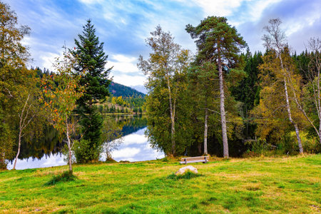 Cozy bench by the glacial lake Wingdfaller See. Clouds and a coastal forest are beautifully reflected in the clear water. Germany, Schwarzwald. Cool autumn dayの写真素材