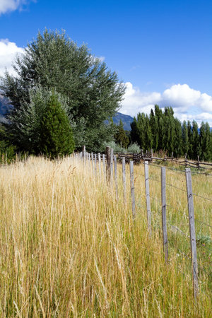 Charming rural pastoral. Fields and mountains surround the famous highway 40. The road passes through picturesque landscapes. Argentina. Travel to South America.の写真素材