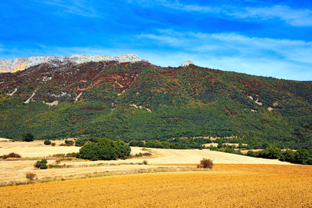 Mountains overgrown with dense forests surround rural fields after harvest. Way from San Sebastian to Tolosa. Basque country, province of Guipuzcoa, Spain. Lush colors of autumn.の写真素材
