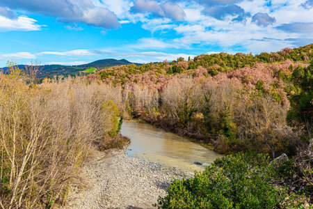 Small stream with a slow current. The picturesque green hills of the province of Tuscany. Italy. Sunny warm winter. December. Travel to a fabulousl landの写真素材