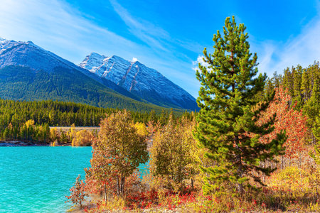 Rocky Mountains of Canada. Gorgeous turquoise color of glacial lake water. Canadian autumn at artificial Abraham Lake. Picturesque autumn landscape.の写真素材