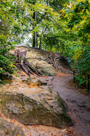 Artists' road Malerweg in Saxon Switzerland. The picturesque sandy cliffs of Bastei, 200 meters high above the Elbe River, are a famous tourist attraction. Germany.の写真素材