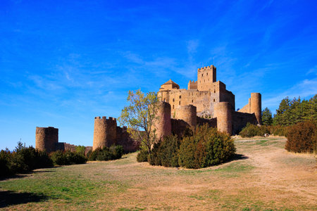 Loarre Castle is a Spanish fortress in the province of Aragon. The Spanish defensive structure was built a thousand years ago. Sunrise. Autumn trip to Spainのeditorial素材