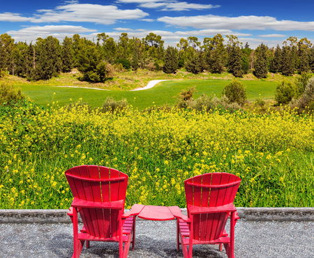 Two red chairs on the platform. Lovely yellow flowers of colza honey plant  in forest glades. The green forest Ben Shemen in the center of Israel.の写真素材