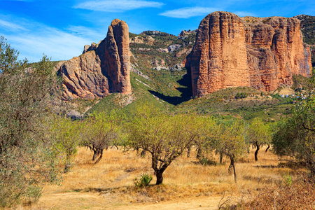 The Mallets of Riglos is a conglomerate of rock formations. Young olive grove. Incredibly beautiful rocks - part of the foothills of the Pyrenees. Aragon. Spain. Sunny afternoon.の写真素材