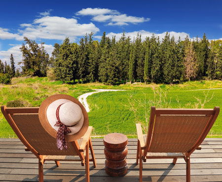 Two comfortable sun loungers on a wooden platform. The green forest Ben Shemen in the center of Israel. Lovely yellow flowers of colza honey plant  in forest glades.の写真素材
