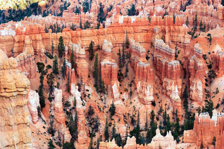 Hoodoos are unique geological structures formed by erosion. Giant natural amphitheater created by erosion. Incredible landscape illuminated by the sunset. Bryce Canyon in the USA.の写真素材