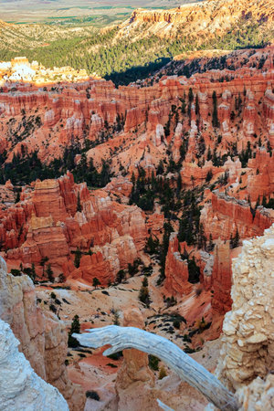 Giant natural amphitheater created by erosion. Incredible landscape illuminated by the sunset. Hoodoos that look like spiers pointing towards the sky. Bryce Canyon in the USA.の写真素材