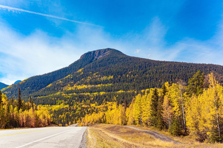 Rocky Mountains of Canada. Road along the Abraham Lake. The yellows, oranges and greens of the foliage and grass around Abraham Lake. Gorgeous sunny autumn day.の写真素材