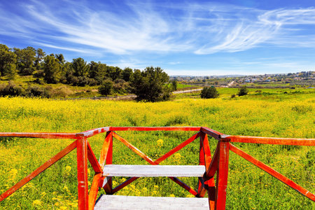 The green forest Ben Shemen in the center of Israel. The glades is fenced with red railings. Lovely yellow flowers of colza honey plant  in forest glades.の写真素材