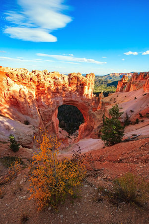 Magnificent colossal Natural Bridge and Arch. Bryce Canyon in the USA. The natural amphitheater created by erosion. The rocks are red, orange and white. The sunset.の写真素材