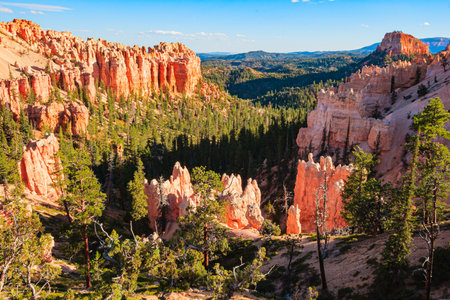 Incredible landscape illuminated by the sunset. Hoodoos that look like spiers pointing towards the sky. Bryce Canyon in the USA. Giant natural amphitheater created by erosion.の写真素材