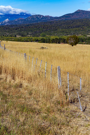 The road passes through picturesque landscapes. Fields, forests and mountains surround the famous highway 40. Travel to South America. Argentina.の写真素材