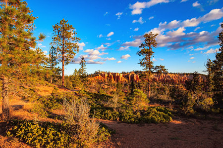 Bryce Canyon, USA. Hoodoos that look like spiers pointing towards the sky. Natural amphitheater created by erosion. Grove in Bryce Canyonの写真素材
