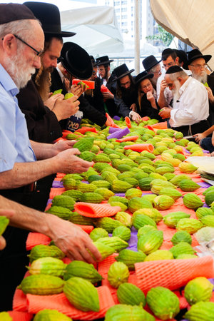 JERUSALEM, ISRAEL - SEPTEMBER 20, 2018: Religious Jews in black hats choose etrogs. The fruit of a magnificent tree is Etrog. The market of four types of plants opens.のeditorial素材