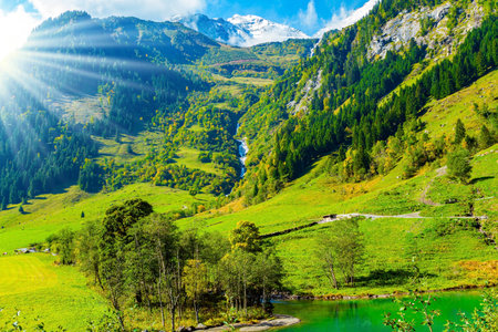 Austria. Flowering alpine meadows and forested mountains of the Hohe Tauern National Park. Magnificent sunny day. The stream reflects the green slopes of the mountainsの写真素材