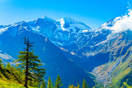 Snowy mountain peaks covered with clouds. Flowering alpine meadows and mountains of the Hohe Tauern Park. The famous mountain road Grossglognerstrasse. Austriaの写真素材
