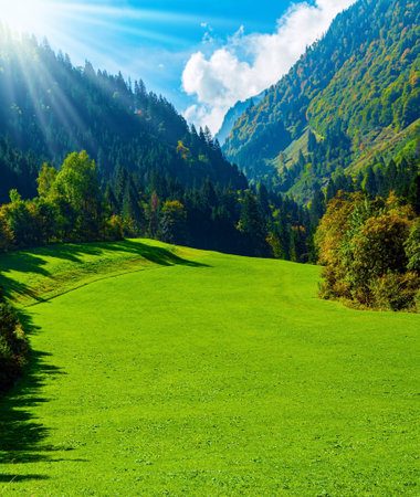 Austria. Flowering alpine meadows and forested mountains of the Hohe Tauern National Park. Magnificent sunny dayの写真素材