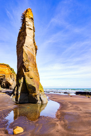 Unique rocks on the ocean shore. The Tongaporutu beach on the Pacific coast. North Island. New Zealand. Magical journey to the ends of the world.の写真素材
